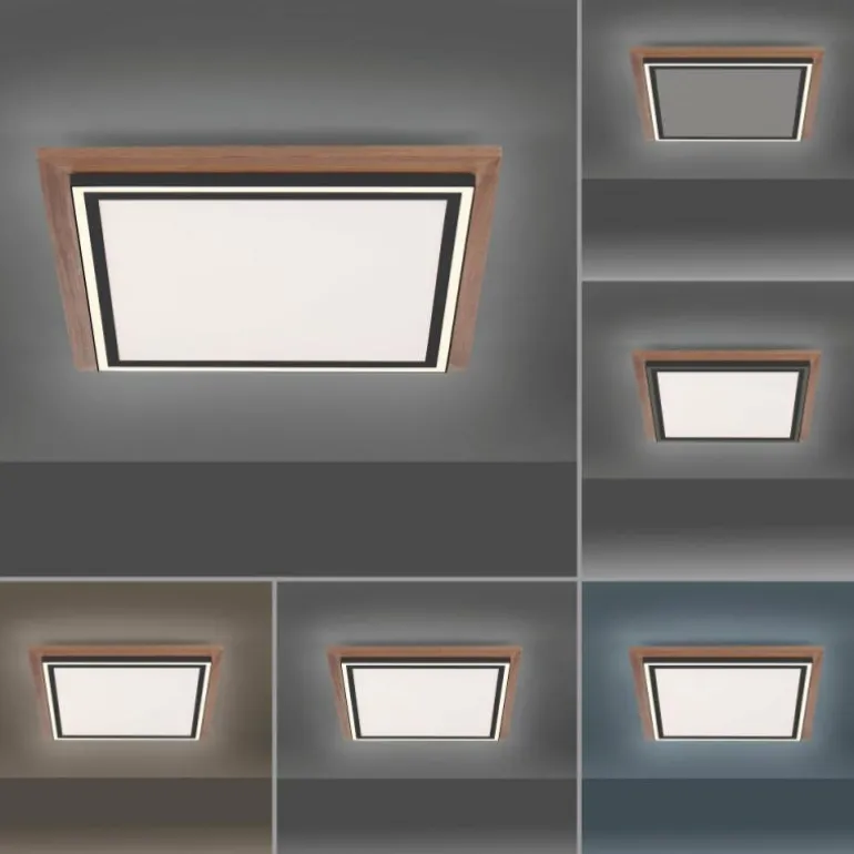 Plafonnier Paul-Neuhaus PALMA LED Écru, Noir, 2 lumières, Télécommandes