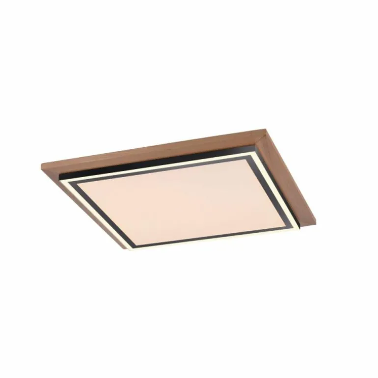 Plafonnier Paul-Neuhaus PALMA LED Écru, Noir, 2 lumières, Télécommandes