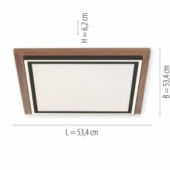 Plafonnier Paul-Neuhaus PALMA LED Écru, Noir, 2 lumières, Télécommandes