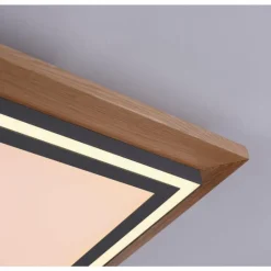 Plafonnier Paul-Neuhaus PALMA LED Écru, Noir, 2 lumières, Télécommandes