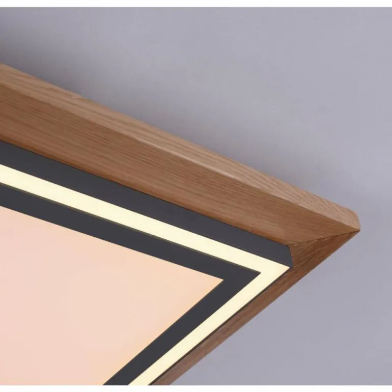 Plafonnier Paul-Neuhaus PALMA LED Écru, Noir, 2 lumières, Télécommandes