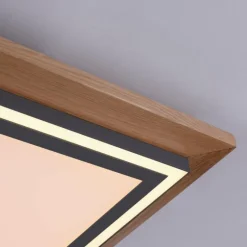 Plafonnier Paul-Neuhaus PALMA LED Écru, Noir, 2 lumières, Télécommandes