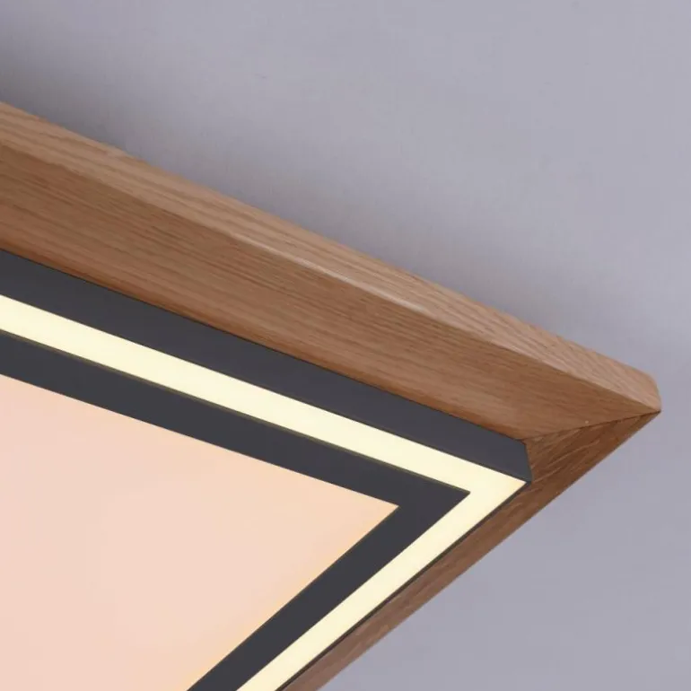 Plafonnier Paul-Neuhaus PALMA LED Écru, Noir, 2 lumières, Télécommandes