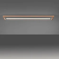 Plafonnier Paul-Neuhaus PALMA LED Écru, Noir, 2 lumières, Télécommandes