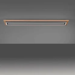 Plafonnier Paul-Neuhaus PALMA LED Écru, Noir, 2 lumières, Télécommandes