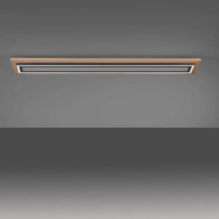 Plafonnier Paul-Neuhaus PALMA LED Écru, Noir, 2 lumières, Télécommandes