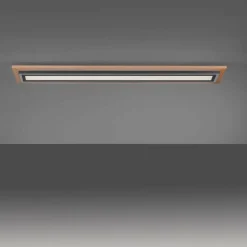 Plafonnier Paul-Neuhaus PALMA LED Écru, Noir, 2 lumières, Télécommandes