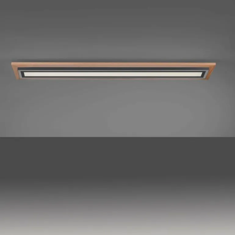 Plafonnier Paul-Neuhaus PALMA LED Écru, Noir, 2 lumières, Télécommandes