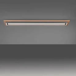 Plafonnier Paul-Neuhaus PALMA LED Écru, Noir, 2 lumières, Télécommandes