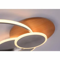 Plafonnier Paul-Neuhaus PALMA LED Écru, Acier brossé, 1 lumière, Télécommandes