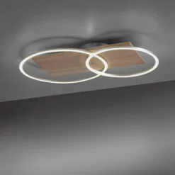 Plafonnier Paul-Neuhaus PALMA LED Écru, Acier brossé, 2 lumières, Télécommandes