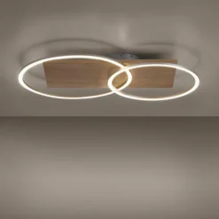 Plafonnier Paul-Neuhaus PALMA LED Écru, Acier brossé, 2 lumières, Télécommandes