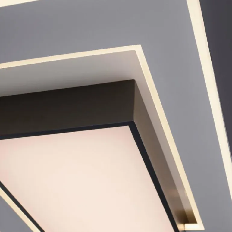 Plafonnier Paul-Neuhaus Q-ALTA LED Noir, 1 lumière, Télécommandes