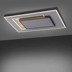 Plafonnier Paul-Neuhaus Q-ALTA LED Noir, 1 lumière, Télécommandes