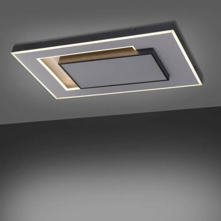 Plafonnier Paul-Neuhaus Q-ALTA LED Noir, 1 lumière, Télécommandes