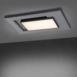 Plafonnier Paul-Neuhaus Q-ALTA LED Noir, 1 lumière, Télécommandes