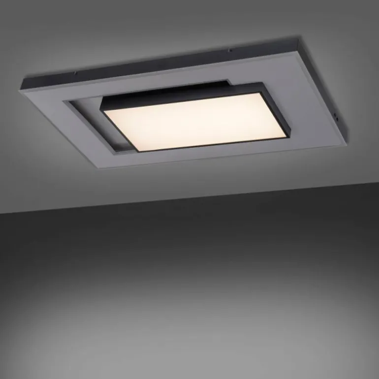 Plafonnier Paul-Neuhaus Q-ALTA LED Noir, 1 lumière, Télécommandes