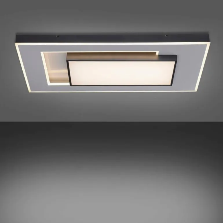 Plafonnier Paul-Neuhaus Q-ALTA LED Noir, 1 lumière, Télécommandes
