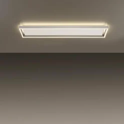 Plafonnier Paul-Neuhaus Q-KAAN LED Acier brossé, 2 lumières, Télécommandes
