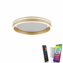 Plafonnier Paul-Neuhaus Q-VITO LED Laiton, 1 lumière, Télécommandes