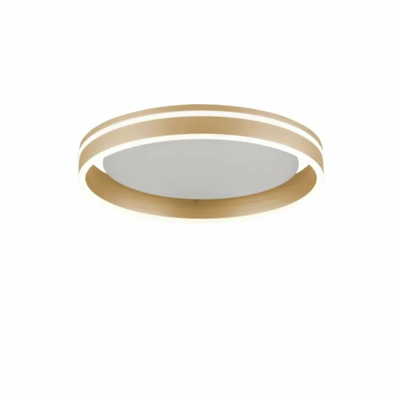 Plafonnier Paul-Neuhaus Q-VITO LED Laiton, 1 lumière, Télécommandes