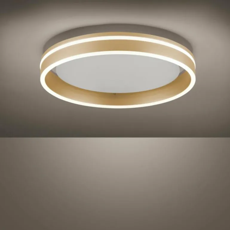 Plafonnier Paul-Neuhaus Q-VITO LED Laiton, 1 lumière, Télécommandes