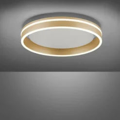 Plafonnier Paul-Neuhaus Q-VITO LED Laiton, 1 lumière, Télécommandes