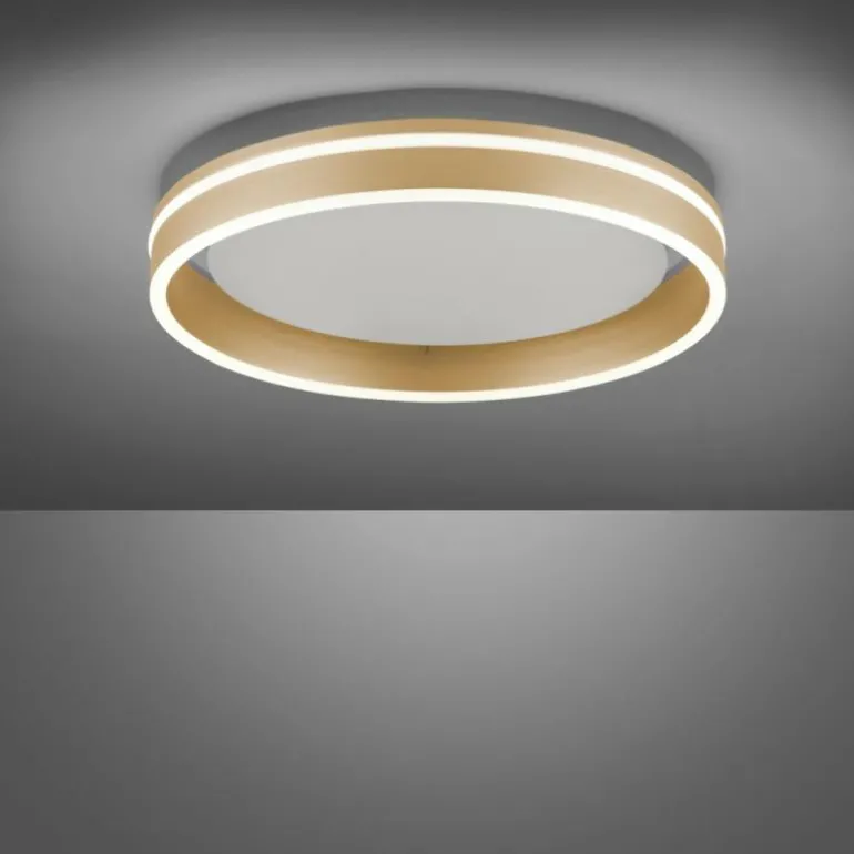 Plafonnier Paul-Neuhaus Q-VITO LED Laiton, 1 lumière, Télécommandes