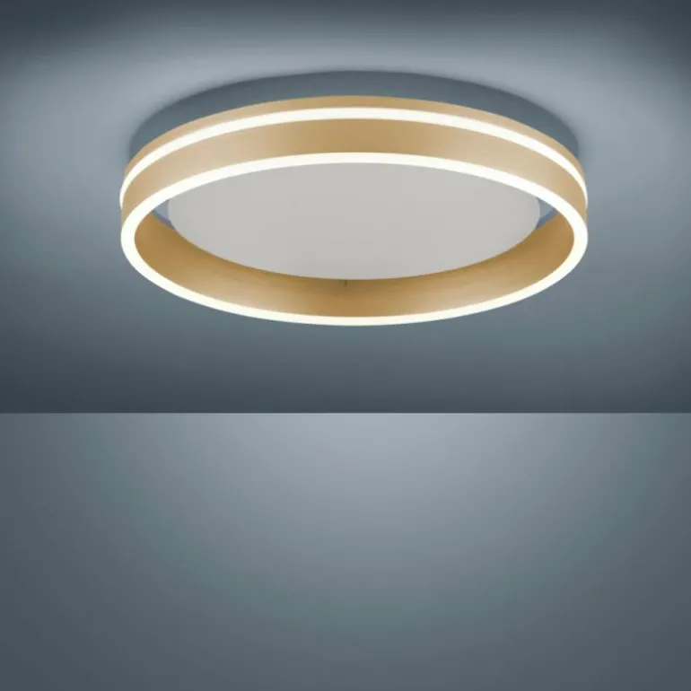 Plafonnier Paul-Neuhaus Q-VITO LED Laiton, 1 lumière, Télécommandes