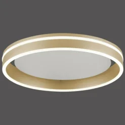 Plafonnier Paul-Neuhaus Q-VITO LED Laiton, 1 lumière, Télécommandes