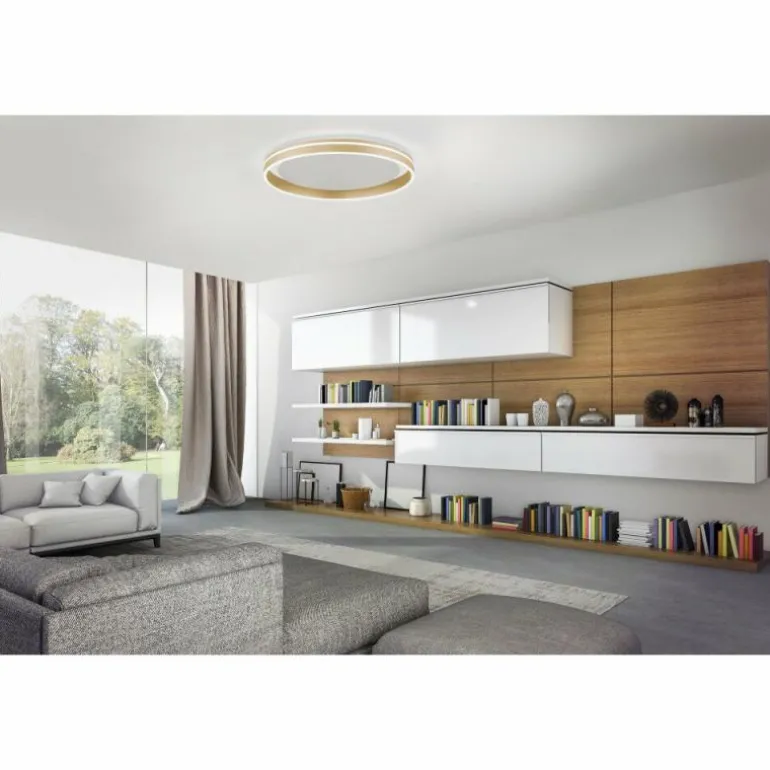 Plafonnier Paul-Neuhaus Q-VITO LED Laiton, 1 lumière, Télécommandes