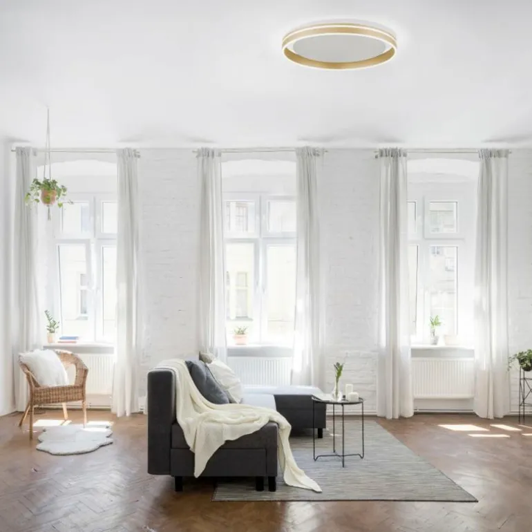 Plafonnier Paul-Neuhaus Q-VITO LED Laiton, 1 lumière, Télécommandes