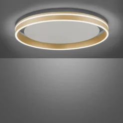 Plafonnier Paul-Neuhaus Q-VITO LED Laiton, 1 lumière, Télécommandes