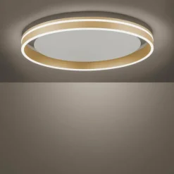 Plafonnier Paul-Neuhaus Q-VITO LED Laiton, 1 lumière, Télécommandes