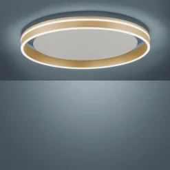 Plafonnier Paul-Neuhaus Q-VITO LED Laiton, 1 lumière, Télécommandes