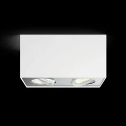 Plafonnier Philips Box LED Blanc, 2 lumières