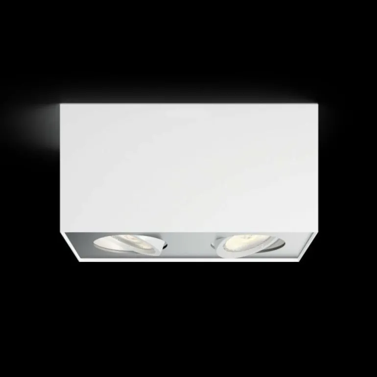 Plafonnier Philips Box LED Blanc, 2 lumières
