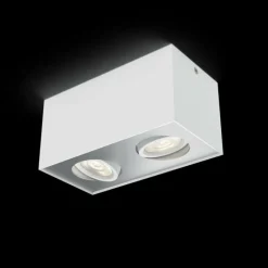 Plafonnier Philips Box LED Blanc, 2 lumières