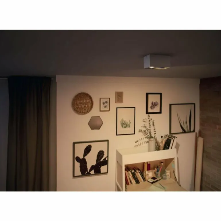Plafonnier Philips Box LED Blanc, 2 lumières