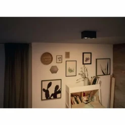 Plafonnier Philips Box LED Noir, 2 lumières