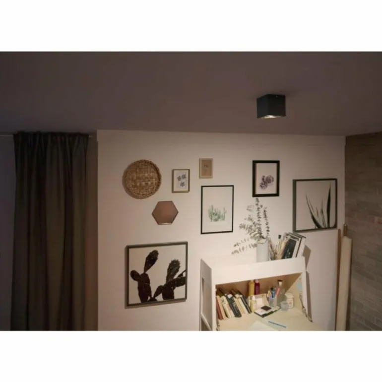 Plafonnier Philips Box LED Noir, 1 lumière