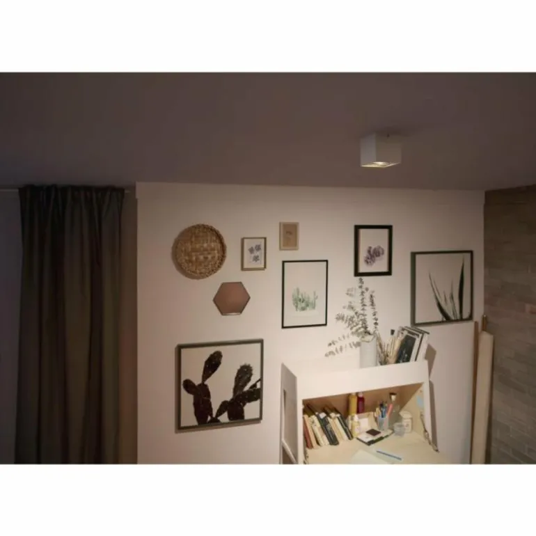 Plafonnier Philips Box LED Blanc, 1 lumière