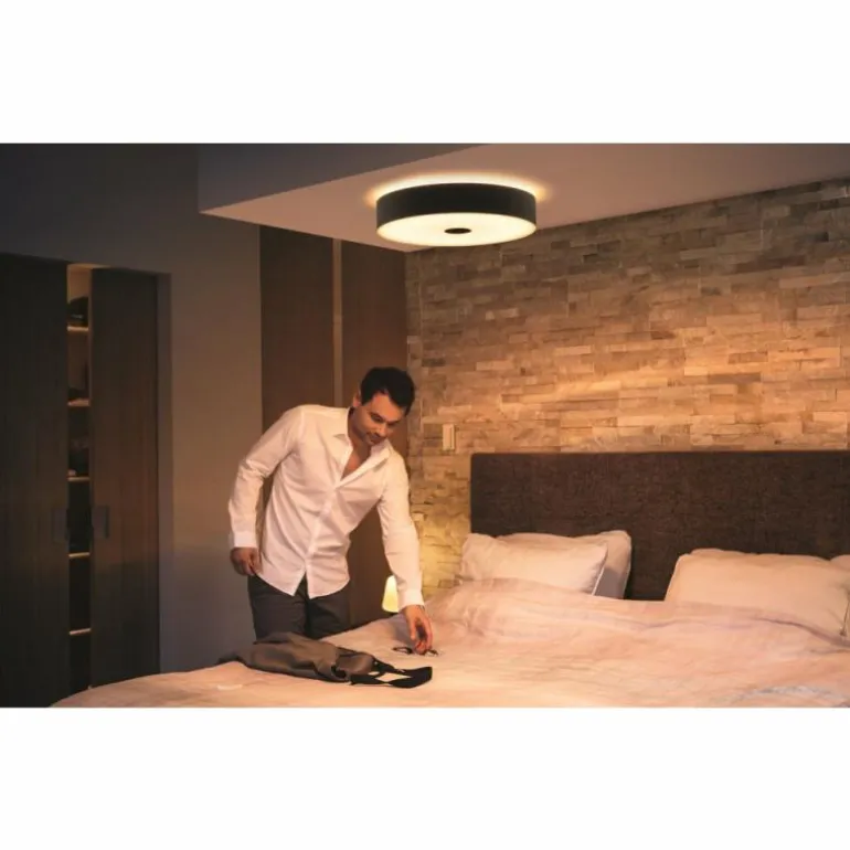 Plafonnier Philips Hue Fair LED Noir, 1 lumière, Télécommandes