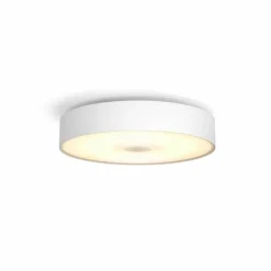 Plafonnier Philips Hue Fair LED Blanc, 1 lumière, Télécommandes