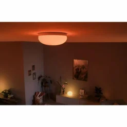 Plafonnier Philips Hue Flourish LED Blanc, 1 lumière, Changeur de couleurs