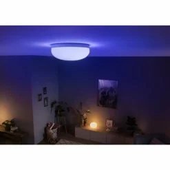 Plafonnier Philips Hue Flourish LED Blanc, 1 lumière, Changeur de couleurs