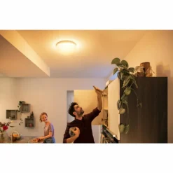 Plafonnier Philips Hue Flourish LED Blanc, 1 lumière, Changeur de couleurs
