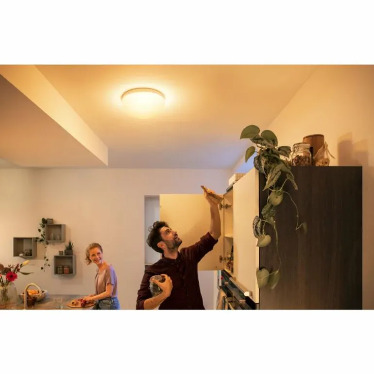 Plafonnier Philips Hue Flourish LED Blanc, 1 lumière, Changeur de couleurs