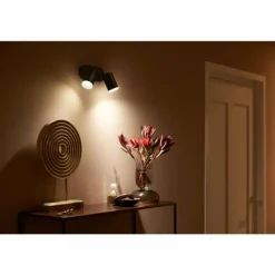 Plafonnier Philips Hue Fugato LED Noir, 2 lumières, Changeur de couleurs