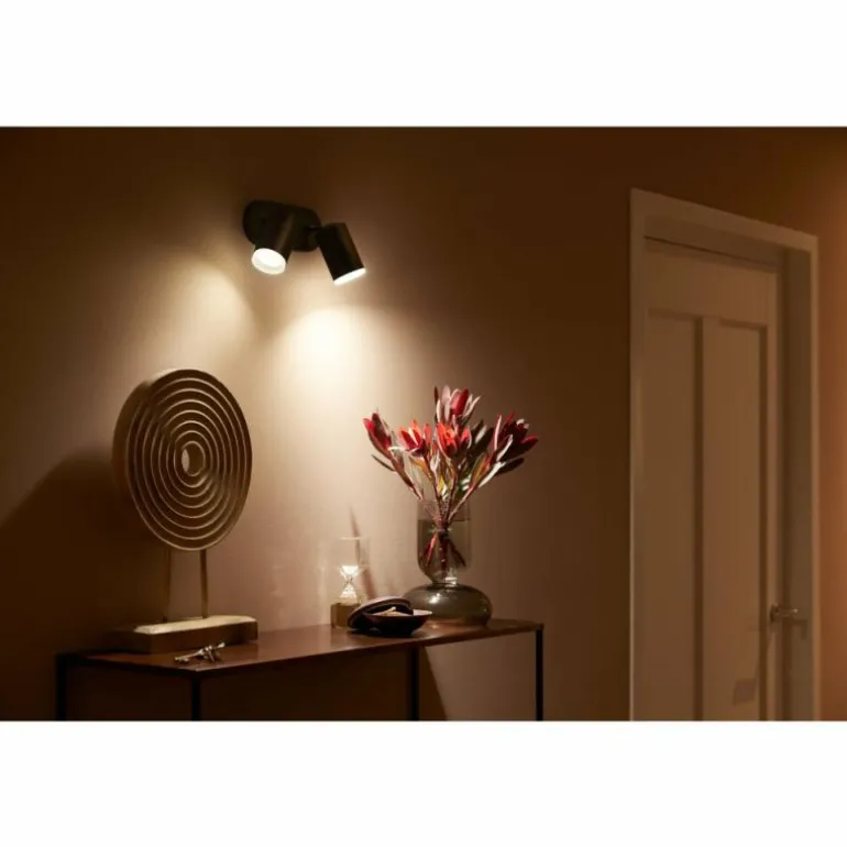 Plafonnier Philips Hue Fugato LED Noir, 2 lumières, Changeur de couleurs